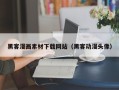 南充黑客漫画素材下载网站（黑客动漫头像）